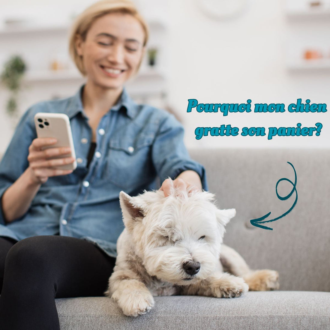 pourquoi mon chien gratte son panier?